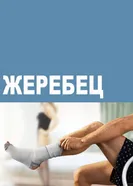 Постер Жеребец