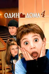 Постер Один дома 4 2002