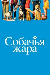 Постер Собачья жара 2018
