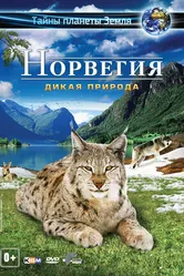 Постер Норвегия 3D: Дикая природа 2013