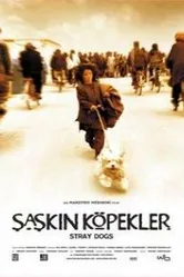 Постер Бродячие собаки 2004