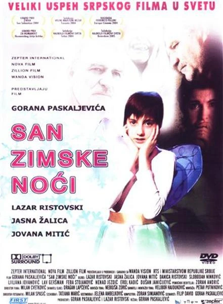 Сон в зимнюю ночь 2004 постер