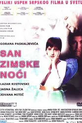 Постер Сон в зимнюю ночь 2004