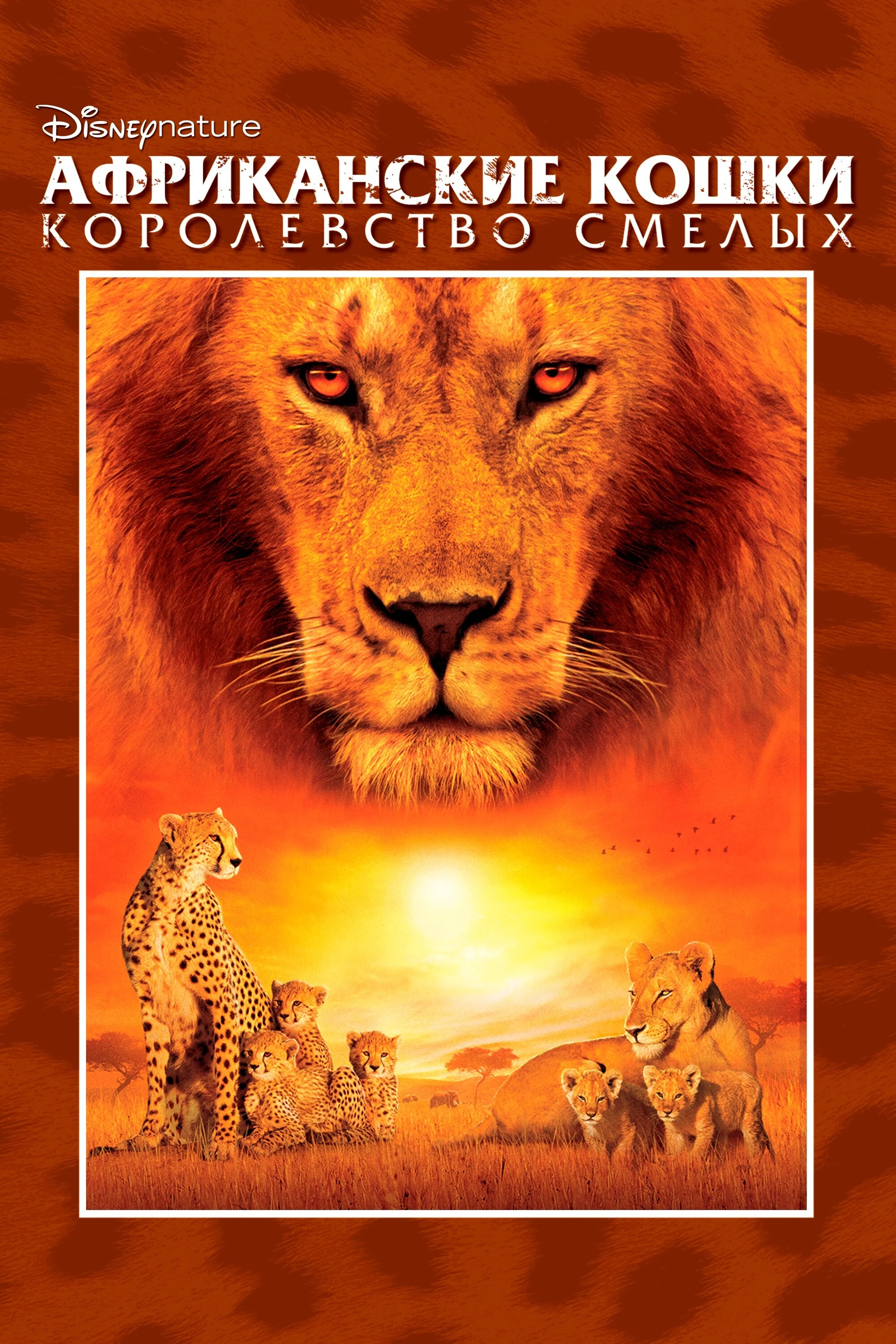 Африканские кошки: Королевство смелых 2010 постер