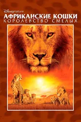 Постер Африканские кошки: Королевство смелых 2010