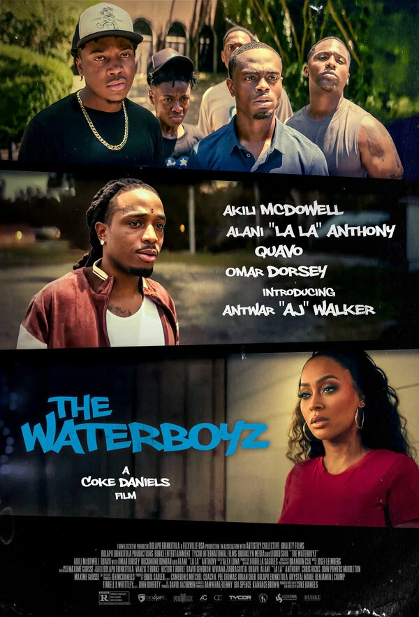 The Waterboyz постер