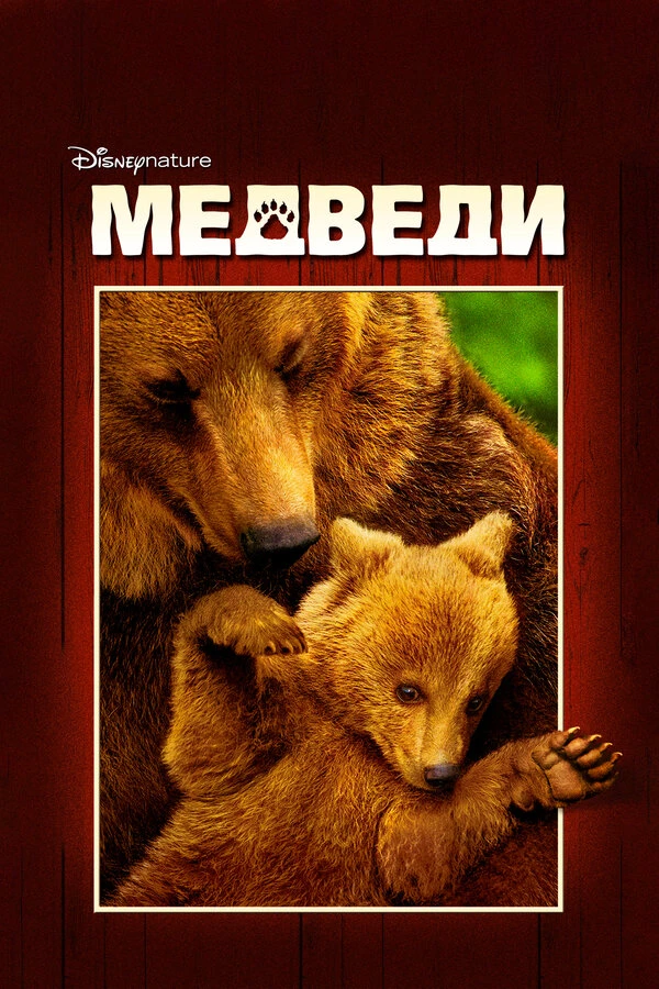Медведи 2014 постер