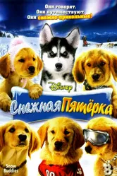 Постер Снежная пятерка 2008