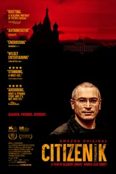Постер Гражданин Х