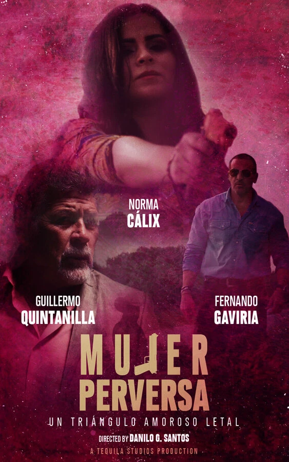 Mujer Perversa постер