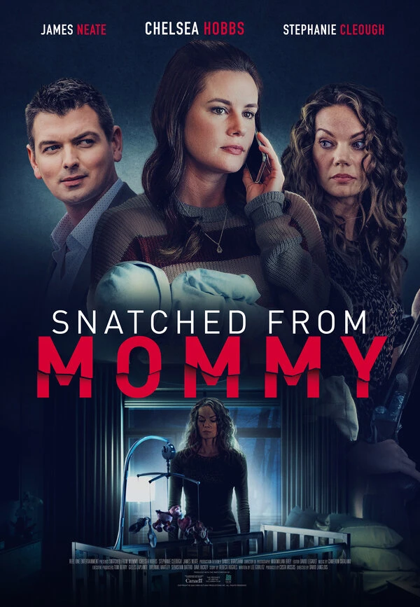Snatched from Mommy постер