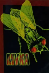 Постер Муха 1986