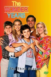 Постер Чудесные годы 1988