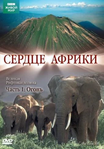 BBC: Сердце Африки 2010 постер