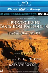 Постер Приключение в Большом каньоне 3D: Река в опасности 2008