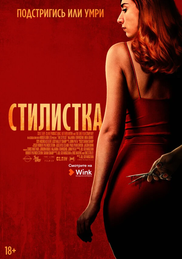 Стилистка 2020 постер