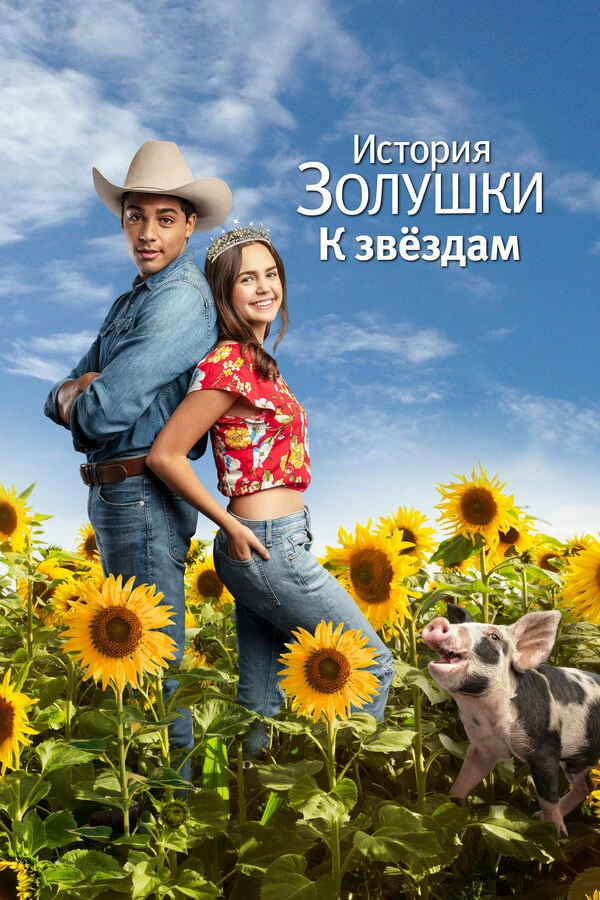 История Золушки: К звездам постер