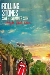 Постер The Rolling Stones: Концерт в Гайд-парке 2013