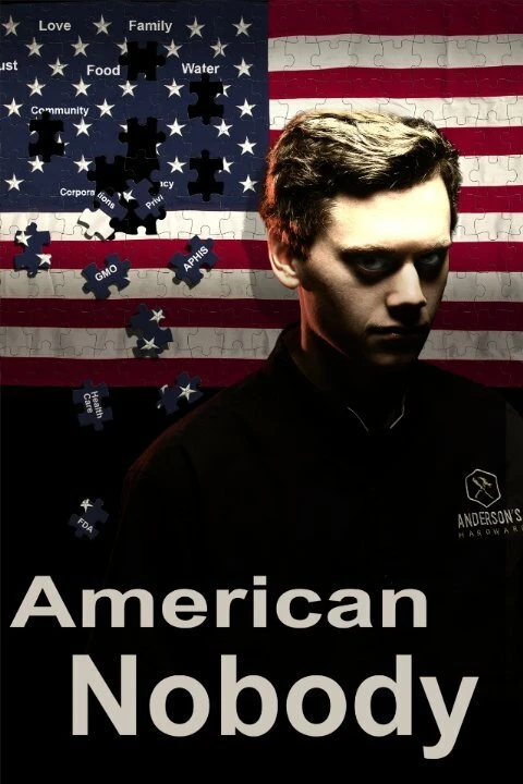 American Nobody постер