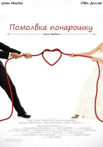 Помолвка понарошку 2013 постер