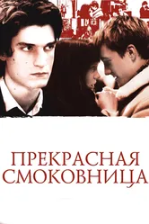 Постер Прекрасная смоковница 2008