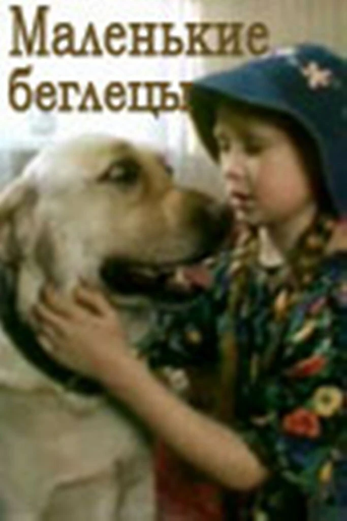 Маленькие беглецы 2004 постер