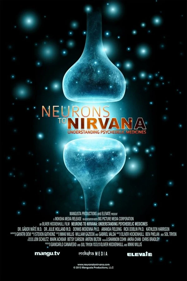 От нейронов к нирване: Медицинское применение психоделиков 2013 постер
