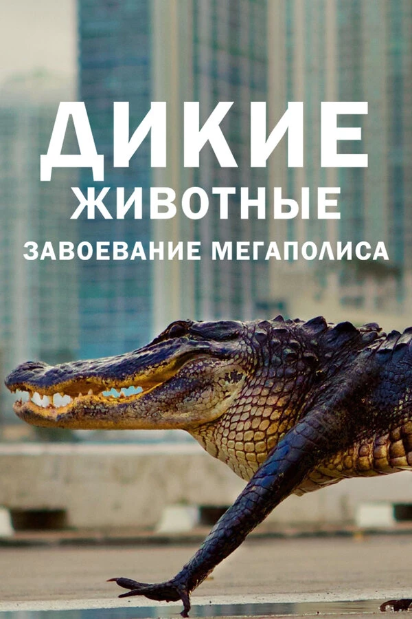 Дикие животные: Завоевание мегаполиса 2018 постер