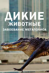 Постер Дикие животные: Завоевание мегаполиса 2018