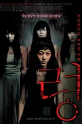 Постер Привидение 2004
