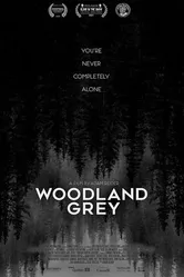 Постер Woodland Grey