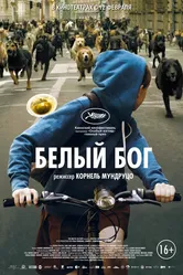 Постер Белый Бог 2014