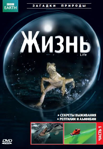 BBC: Жизнь 2009 постер