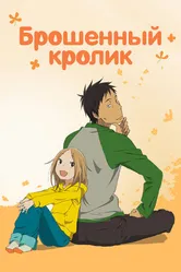 Постер Брошенный кролик