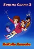 Ведьма Салли 2 постер