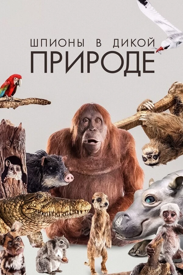 Шпионы в дикой природе 2017 постер