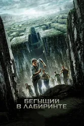 Постер Бегущий в лабиринте 2014
