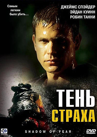 Тень страха 2004 постер
