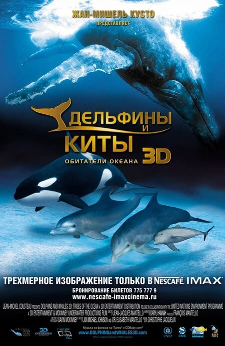 Дельфины и киты 3D 2008 постер
