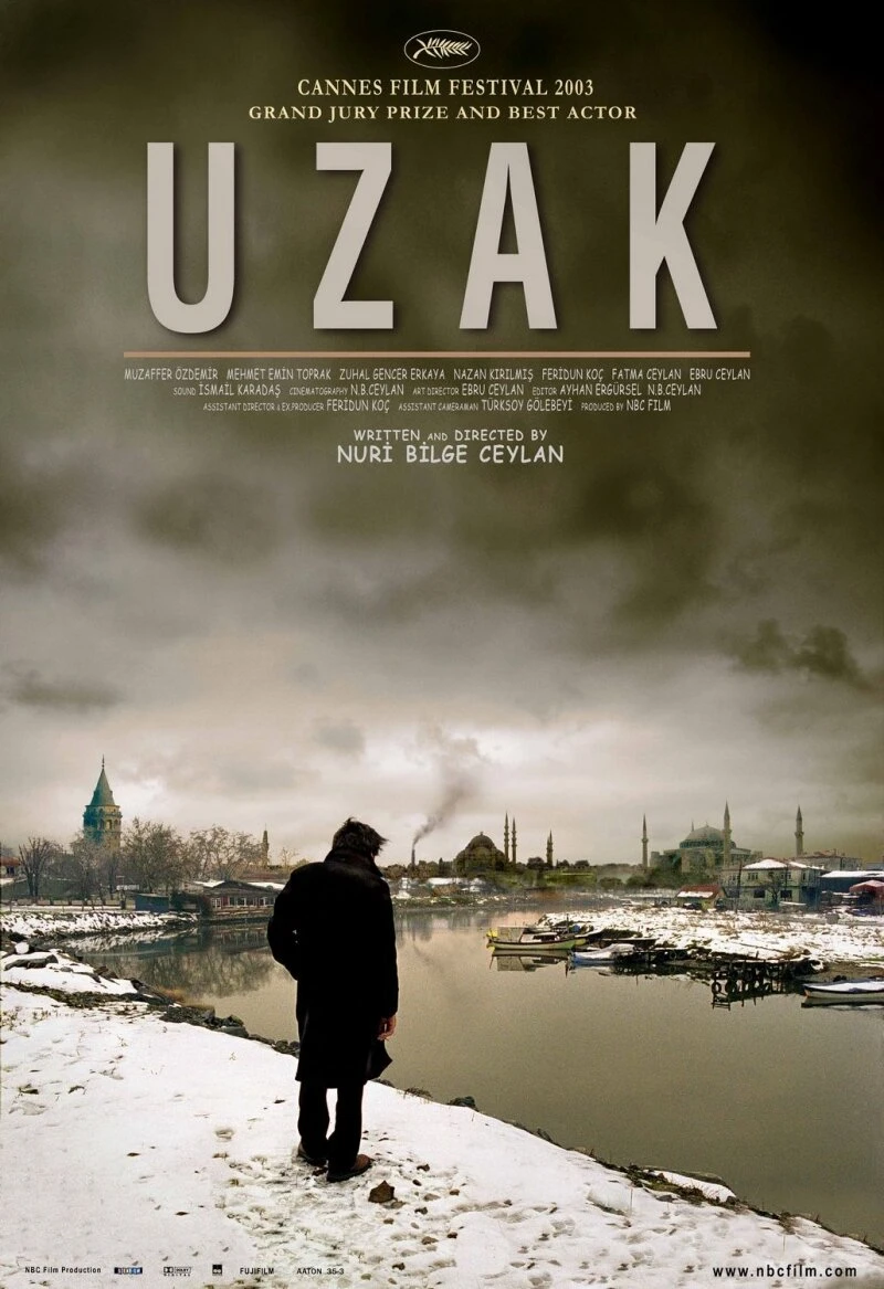 Отчуждение 2002 постер