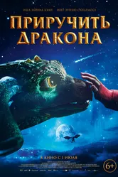 Постер Приручить дракона 2020