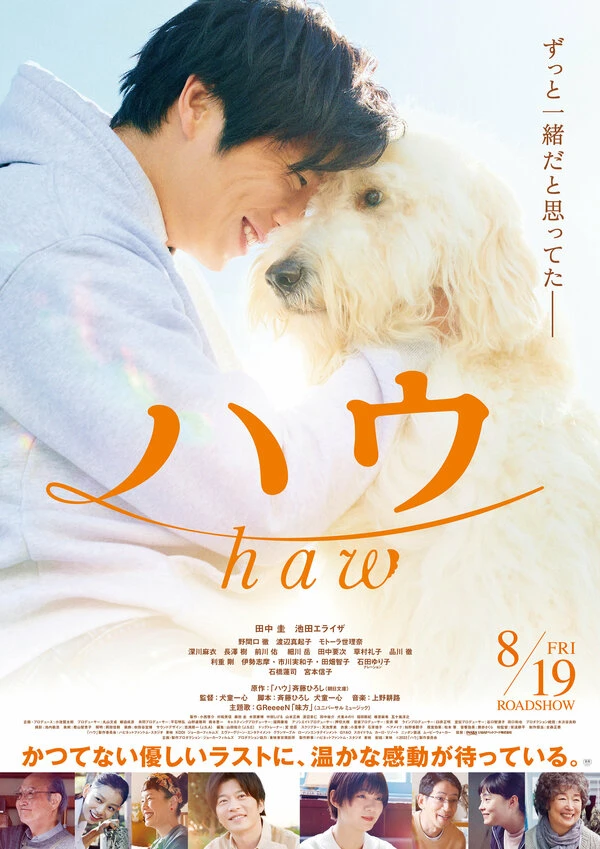 Haw постер