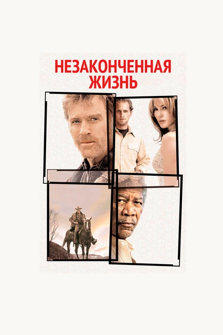 Незаконченная жизнь 2004 постер