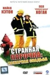 Постер Странная парочка 2004