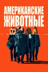 Постер Американские животные 2018