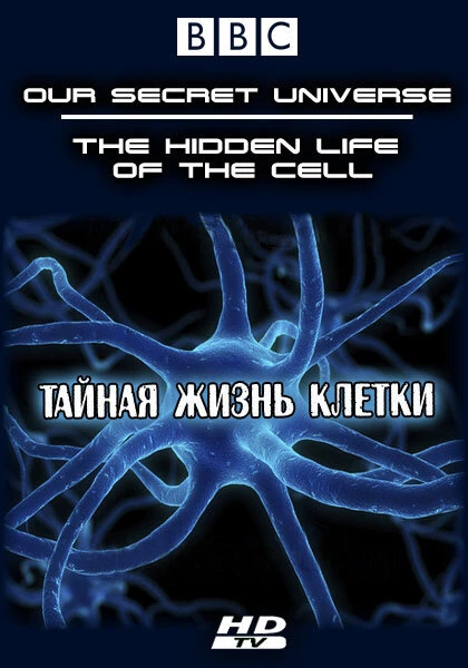 Внутренняя вселенная: Тайная жизнь клетки 2012 постер