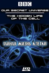Постер Внутренняя вселенная: Тайная жизнь клетки 2012